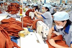 Đẩy mạnh sàn giao dịch việc làm trực tuyến, kết nối cung - cầu lao động
