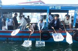 Khánh Hòa: Thả hơn 1,42 triệu con giống tái tạo nguồn lợi thủy sản năm 2023