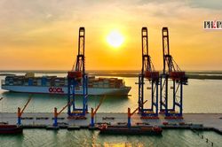 'Siêu tàu' container dài 400m vào cụm cảng Cái Mép - Thị Vải