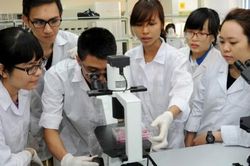 Kịp thời điều chỉnh các quy định về đào tạo chuyên khoa