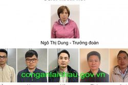 Bắt 15 cán bộ, công chức ở Lai Châu đưa, nhận hối lộ khi thanh tra các dự án trồng rừng