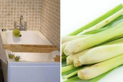 Đặt bó sả trong nhà vệ sinh ai cũng tưởng lãng phí: 1 tuần sau tất cả đều muốn làm thử