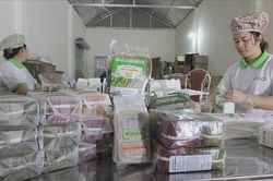 Nhân rộng các mô hình HTX sản xuất an toàn vệ sinh thực phẩm