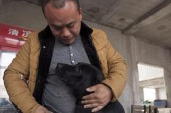 Bị kẻ trộm câu mất chú chó cưng, người đàn ông tìm đến lò mổ và làm điều 'không tưởng'