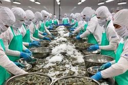 Xuất khẩu nông sản quý I/2023 sụt giảm, lãnh đạo Bộ NN&PTNT nói gì?