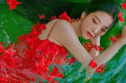 'Flower' của Jisoo Blackpink nhận loạt ý kiến trái chiều từ cư dân mạng