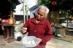 Kỳ lạ gà trống đẻ trứng nhỏ chỉ bằng đồng xu