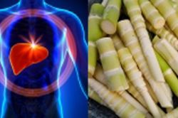 Những thực phẩm cực kỳ quen thuộc, người Việt ăn hàng ngày là 'sát thủ' âm thầm phá hủy gan