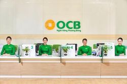 OCB giữ ổn định mảng kinh doanh lõi, tái cấu trúc tài sản theo hướng lành mạnh