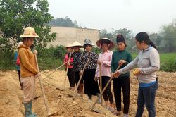 Đào tạo nghề theo nhu cầu