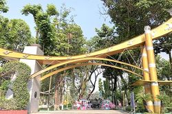 Nâng cao ý thức bảo vệ cây xanh công cộng