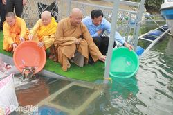 Thả 320 ngàn cá, tôm giống xuống sông Đồng Nai