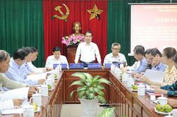 Chậm lập, phê duyệt các đồ án quy hoạch phân khu đô thị mới Nhơn Trạch gây lãng phí nguồn lực đất đai