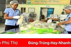 Khoa học và công nghệ góp phần nâng cao năng suất, chất lượng sản phẩm OCOP