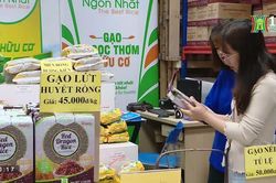 Cùng xây dựng thương hiệu gạo Việt (ngày 31/03/2023)
