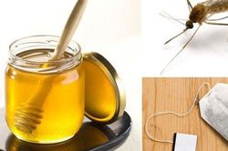 8 biện pháp giảm ngứa, ngăn ngừa nhiễm trùng do muỗi đốt