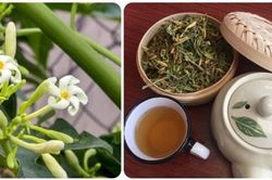 Tác dụng bất ngờ của nước hoa đu đủ đực
