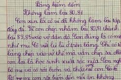 Bản kiểm điểm của học trò khi lỡ chép sai bài tập khiến CĐM cười ngất: Cô muốn giận cũng không giận nổi