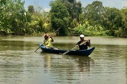 Cảnh báo cá sấu xuất hiện trong ao hồ, kênh rạch ở Bạc Liêu