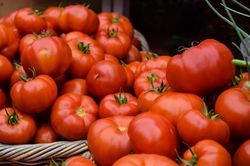 Bí quyết bảo quản cà chua lâu, để dành dùng quanh năm