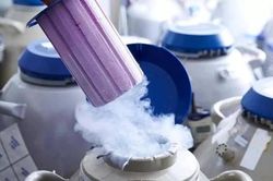 Chuyện đông lạnh trứng ở Trung Quốc