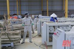 Lang Chánh phát triển lâm nghiệp gắn với chế biến