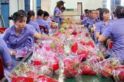Việt Nam và Israel kết thúc đàm phán Hiệp định Thương mại tự do