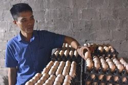 'Cỗ máy nhả vàng' mang về gần nửa tỷ đồng mỗi năm cho 8X