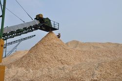Ách tắc hoàn thuế doanh nghiệp dăm gỗ: Tổng cục Thuế nói gì?