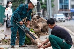 Hà Nội: Hàng cây héo khô trên tuyến đường mới mở, ai sẽ chịu trách nhiệm?