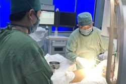 Cây xanh trong trường học bật gốc: Một thai phụ bị thương nghiêm trọng