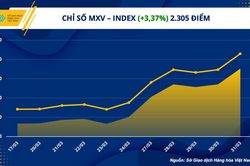 Chỉ số hàng hóa MXV- Index lên mức cao nhất gần 1 tháng