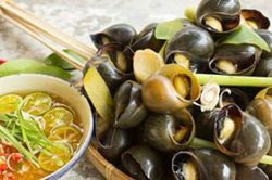 Ốc mua về đừng đem luộc ngay, ngâm nước này ốc nhả sạch bùn nhớt, thêm cách luộc giun sán cũng chẳng còn