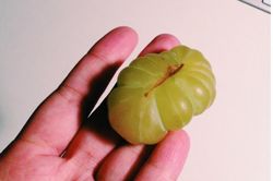 Mua đồ ăn mà may mắn thế này chứng tỏ kiếp trước bạn giải cứu cả thế giới!