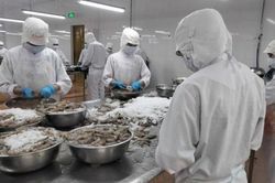 Doanh nghiệp thủy sản 'ăn đong' đơn hàng