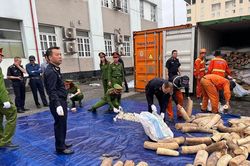 Thu nộp vào ngân sách nhà nước hơn 179 tỷ đồng từ xử lý vi phạm lĩnh vực hải quan