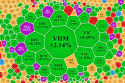 Cổ phiếu bất động sản rộ sắc tím, VN-Index tăng 15 điểm với thanh khoản tăng vọt