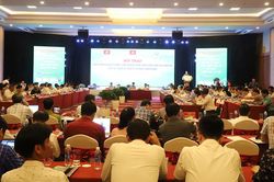 Phát triển kinh tế nông, lâm nghiệp xanh, bền vững vùng Tây Nguyên gắn với quản lý, bảo vệ và phát triển rừng
