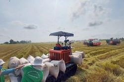 Đề án hay, cần cách làm hiệu quả
