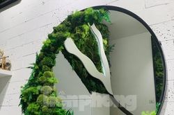 Rộ mốt trang trí nhà bằng tranh rêu xanh quanh năm không cần tưới