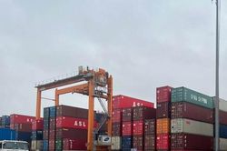 Hải quan điều tra đường đi của 40 tấn gỗ trắc