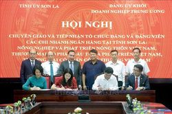 Góp phần hoàn thiện mô hình tổ chức Đảng của Đảng ủy Khối Doanh nghiệp Trung ương