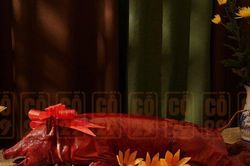 Gợi ý mâm cúng rằm mùng 1 ý nghĩa đúng đủ nhất