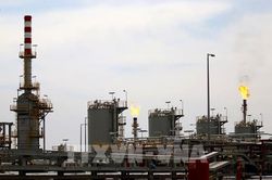 Mỹ nỗ lực kiềm chế giá xăng dầu sau quyết định của OPEC+