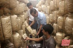 Phát huy vai trò của hội nông dân trong thực hiện nghị quyết 'Tam nông'