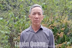 Tuổi cao, chí lớn