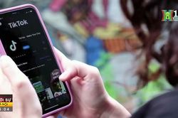 Bộ Thông tin và Truyền thông sẽ kiểm tra hoạt động của TikTok