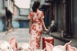 Cô gái ở Trung Quốc bỏ trốn cùng 30 con heo trong lúc bạn trai đang nằm viện