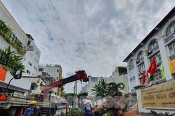Cây xanh trong trường học đổ, 'uy hiếp' 7 người: PGĐ Sở Giáo dục nói trách nhiệm xử lý thuộc Quận 1