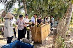 Nông dân đi học làm du lịch